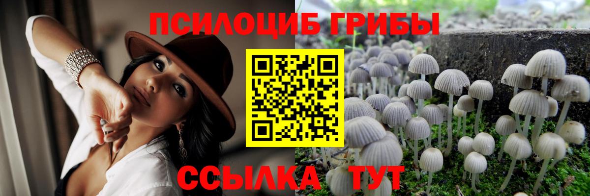 Псилоцибиновые грибы Magic Shrooms Малгобек